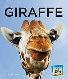 Icon image Giraffe