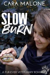 Icon image Slow Burn: A Lesbian Romance Novel
