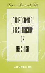 Icon image Christ Coming in Resurrection as the Spirit