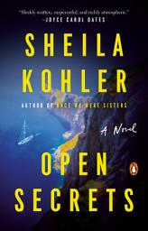 Icon image Open Secrets: A Novel