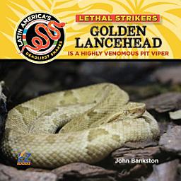 Icon image Golden Lancehead: Is a Highly Venomous Pit Viper