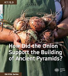 Icon image How Did the Onion Support the Building of Ancient Pyramids?