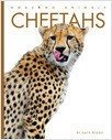 Icon image Cheetahs