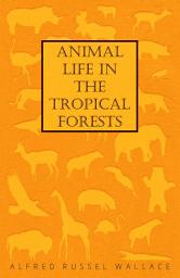 Icon image Animal Life in the Tropical Forests