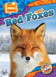 Icon image Red Foxes