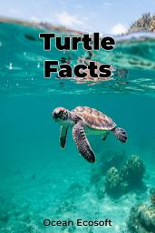 Icon image Turtle Facts