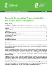Icon image Essential commodities prices, availability, and market actors’ perceptions: July 2025