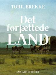 Icon image Det forjættede land