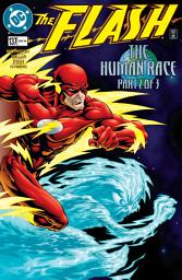 Icon image The Flash (1987 - 2009)