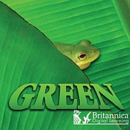 Icon image Green