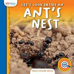 Icon image Let's Look Inside an Ant's Nest