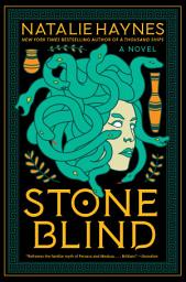 Icon image Stone Blind: A Novel