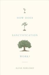 Icon image How Does Sanctification Work?