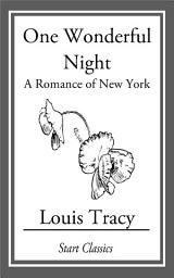 Icon image One Wonderful Night: A Romance of New York