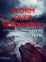 Icon image Storm over Bornholm – kriminovelle