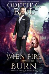 Icon image When Fire Wants to Burn Book Four
