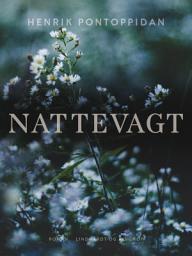 Icon image Nattevagt