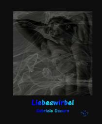Icon image Liebeswirbel: Gay Romance
