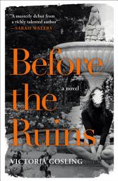 Icon image Before the Ruins: A Novel