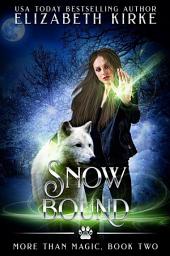 Icon image Snow Bound