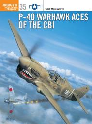 Icon image P-40 Warhawk Aces of the CBI