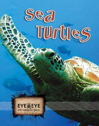 Icon image Sea Turtles