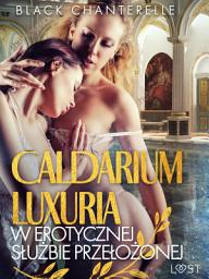 Icon image Caldarium Luxuria – w erotycznej służbie przełożonej