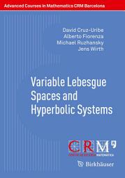 Icon image Variable Lebesgue Spaces and Hyperbolic Systems
