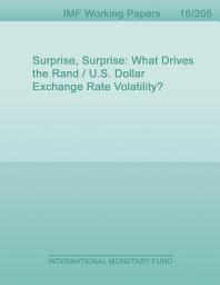 Icon image Surprise, Surprise: What Drives the Rand / U.S. Dollar Exchange Rate Volatility?