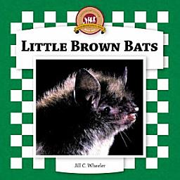 Icon image Little Brown Bats