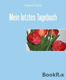 Icon image Mein letztes Tagebuch: Mit Achtzig fing alles an