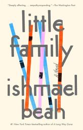 Icon image Little Family: A Novel