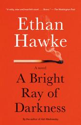 Icon image A Bright Ray of Darkness: A novel