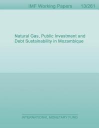 Icon image Natural Gas, Public Investment and Debt Sustainability in Mozambique