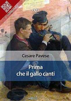 Icon image