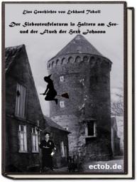 Icon image Der Siebenteufelsturm in Haltern am See: und der Fluch der Hexe Johanna, Ausgabe 9