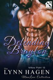 Icon image Defending Braylon (Willow Point 13)