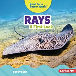Icon image Rays: A First Look