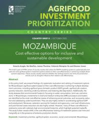 Icon image Mozambique: Cost effective options for inclusive and sustainable development
