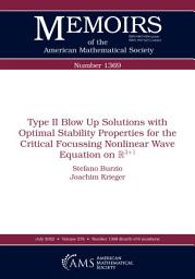 Icon image Type II blow up solutions with optimal stability properties for the critical focussing nonlinear wave equation on $mathbb {R}^{3+1}$