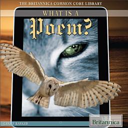 Icon image What Is a Poem?