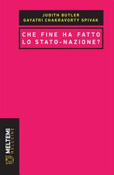 Icon image Che fine ha fatto lo stato-nazione?