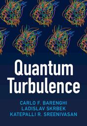 Icon image Quantum Turbulence