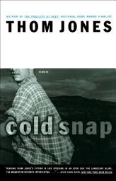 Icon image Cold Snap: Stories