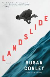 Icon image Landslide: A novel