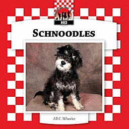 Icon image Schnoodles