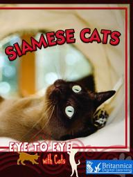 Icon image Siamese Cats