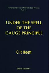 Icon image Under the Spell of the Gauge Principle