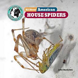 Icon image All About American House Spiders