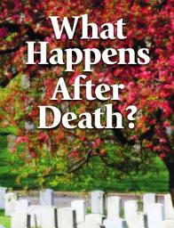 Icon image What Happens After Death?